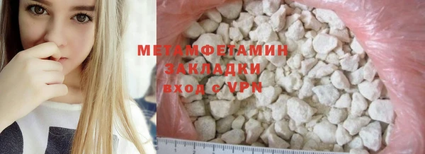 PSILOCYBIN Вяземский