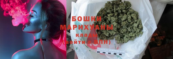 PSILOCYBIN Вяземский