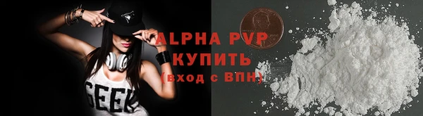 PSILOCYBIN Вяземский