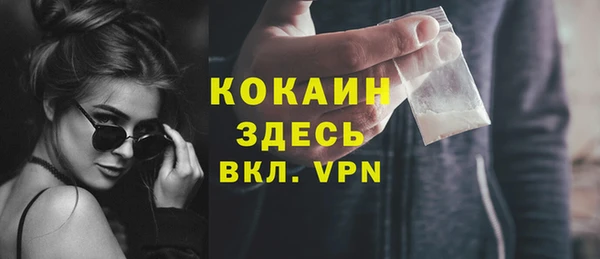 PSILOCYBIN Вяземский