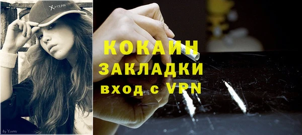 PSILOCYBIN Вяземский